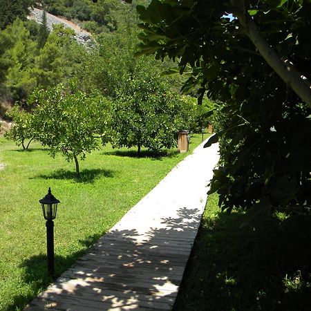 Azra Villas Çıralı Phòng bức ảnh