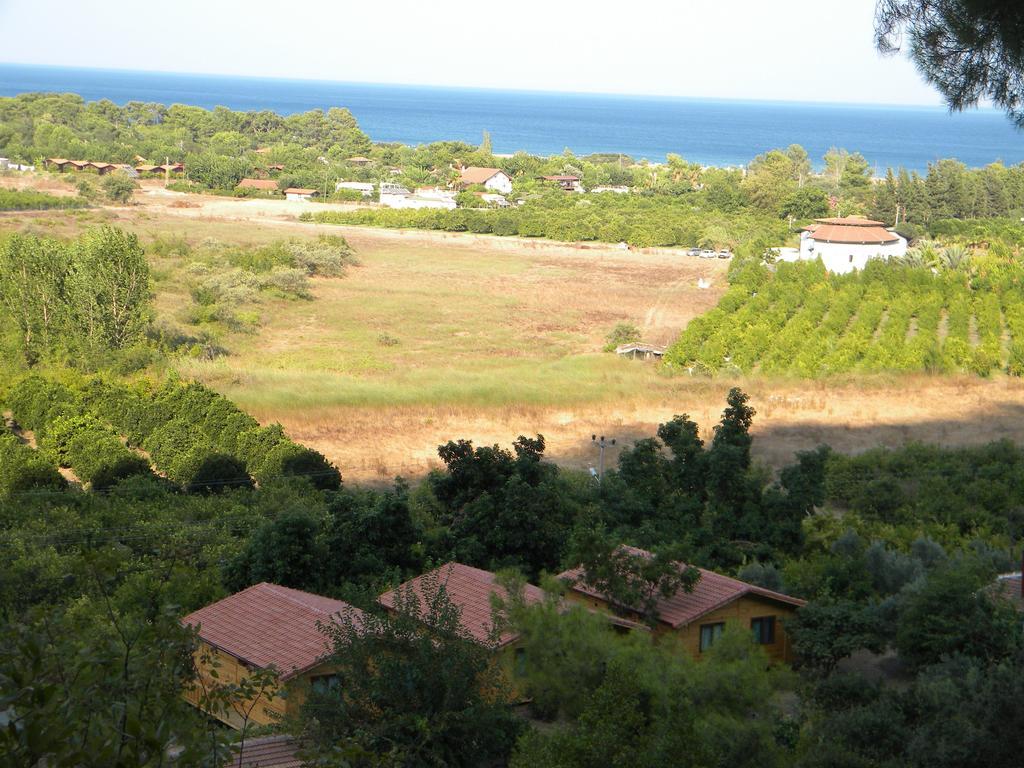 Azra Villas Çıralı Phòng bức ảnh