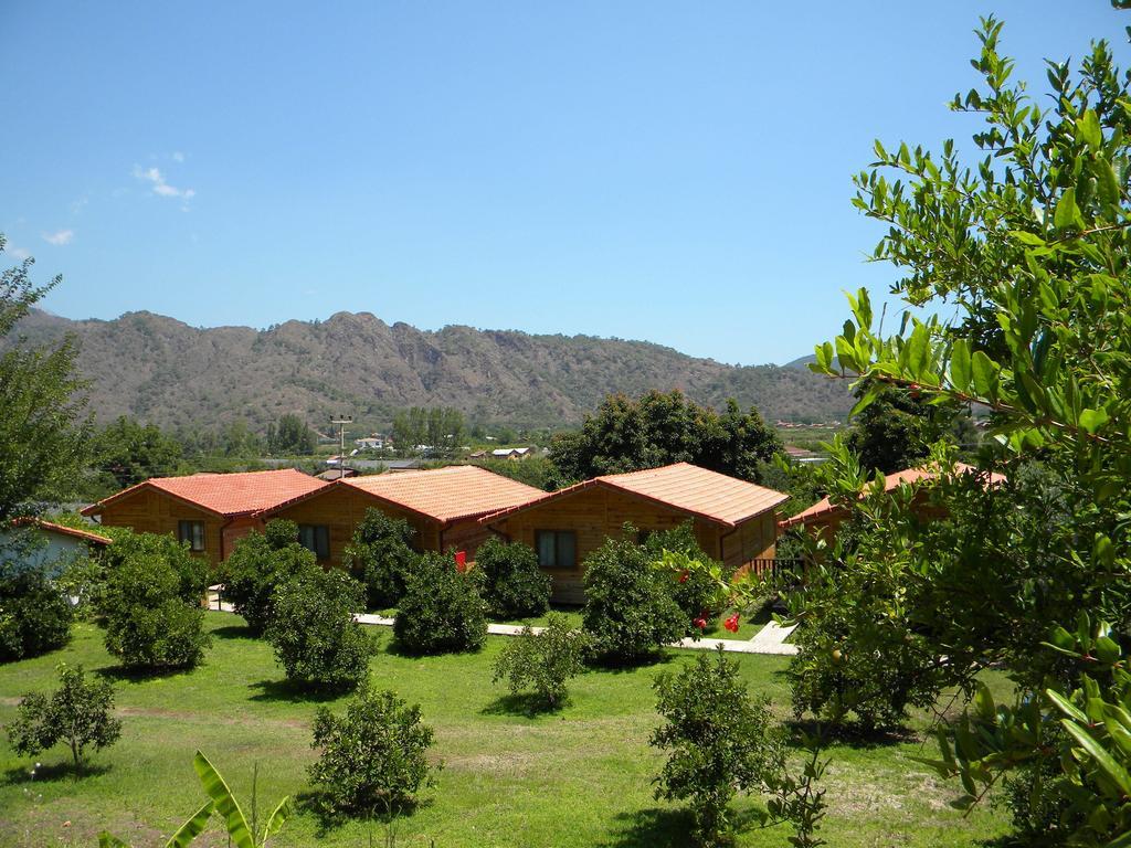 Azra Villas Çıralı Phòng bức ảnh