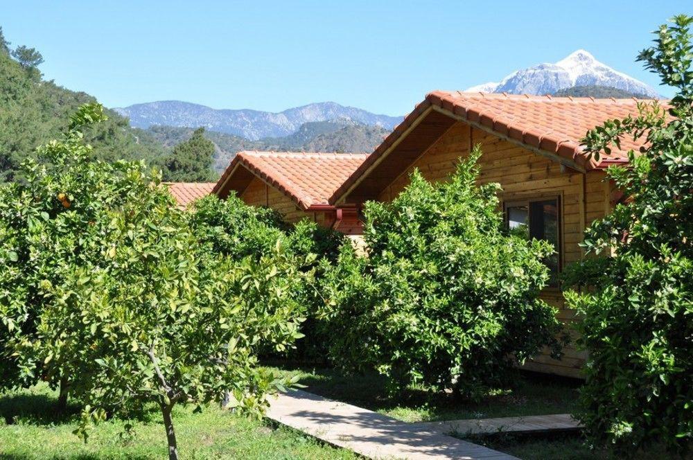 Azra Villas Çıralı Ngoại thất bức ảnh