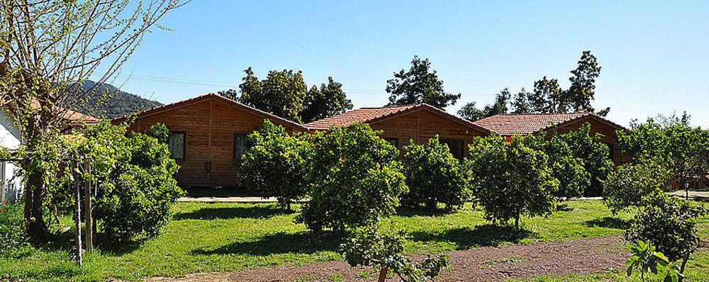 Azra Villas Çıralı Ngoại thất bức ảnh